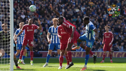 داني ويلبيك يحتفل بتسجيل هدف لبرايتون ضد ليفربول