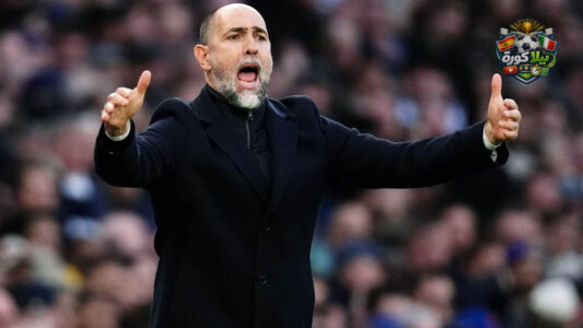 مدرب توتنهام إيغور تودور يعبر عن غضبه على خط التماس