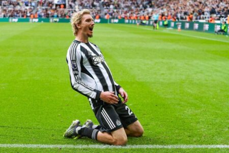 لاعب نيوكاسل نيكولاس فولتماده يحتفل بهدف